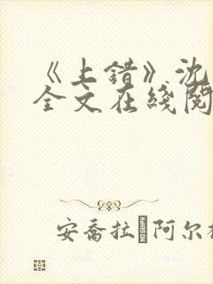 《上错》沈南初全文在线阅读笔趣阁