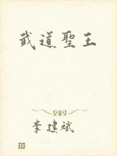 武道圣王