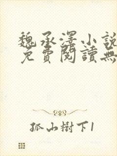 魏承泽小说全文免费阅读无弹窗笔趣