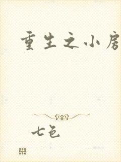 重生之小房东封面