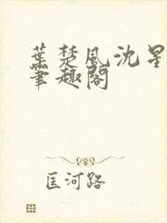 叶楚风沈星岚2笔趣阁