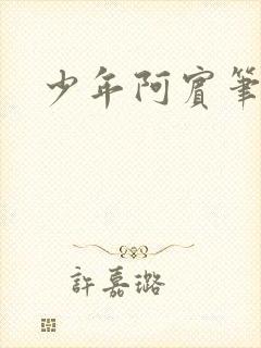 少年阿宾笔趣阁