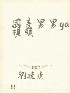 国产男男gay视频