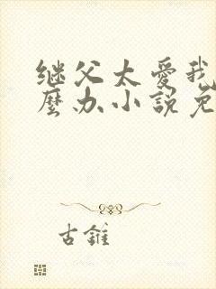 继父太爱我了怎么办小说免费阅读封面