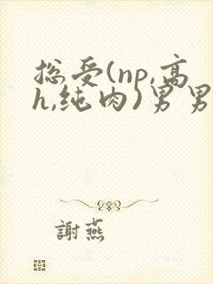 总受(np,高h,纯肉)男男