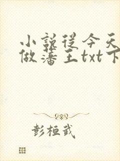 小说从今天开始做藩王txt下载