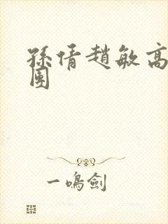 孙倩赵敏高义大团