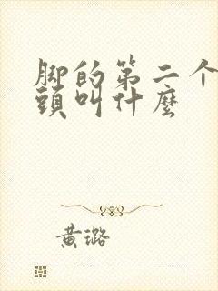 脚的第二个脚趾头叫什么封面