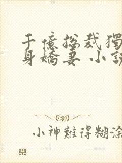 千亿总裁独宠替身娇妻 小说完整封面