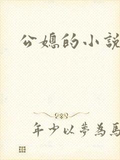 公媳的小说封面
