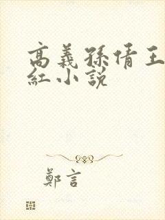高义孙倩王申美红小说