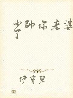 少帅你老婆又跑了封面