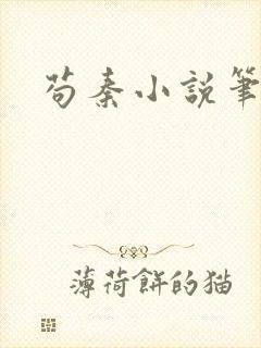 苟秦小说笔趣阁封面