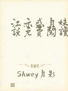 江亦盛月姝的小说免费阅读无弹窗