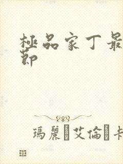 极品家丁最新章节