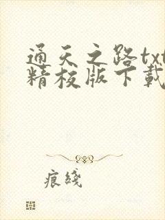 通天之路txt精校版下载封面