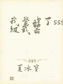 我觉醒了sss级武器