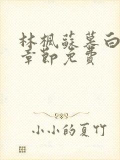 林枫苏慕白最新章节免费