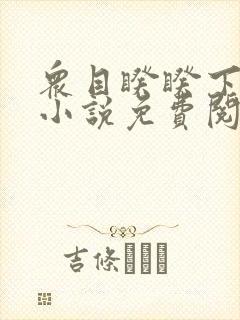 众目睽睽下的事小说免费阅读笔趣阁