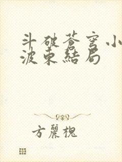 斗破苍穹小说海波东结局封面