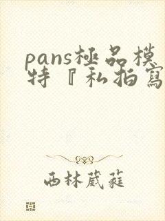 pans极品模特『私拍写真视频