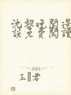 沈黎晚闻璟川小说免费阅读最新章节