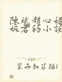 陈斌赵心媚和高婉君的小说免费阅读封面