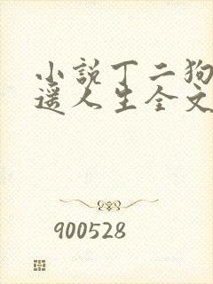 小说丁二狗的逍遥人生全文