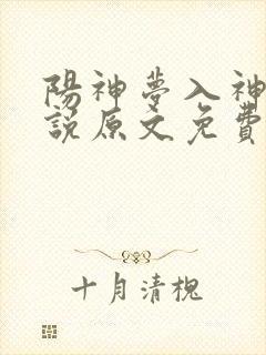 阳神梦入神机小说原文免费阅读