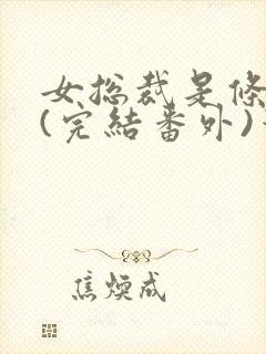 女总裁是条骚狗(完结番外)笔趣阁双男