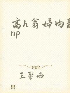 高h翁妇肉乱文np封面