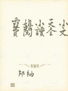 霞姐小天小说免费阅读全文无弹窗封面