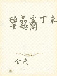 极品家丁未删减笔趣阁