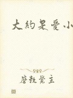大约是爱小说