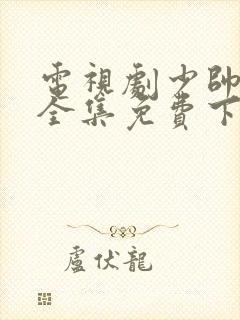 电视剧少帅48全集免费下载