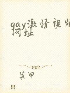 gay激情视频网址