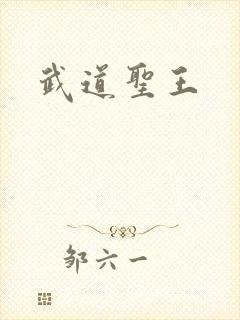 武道圣王封面