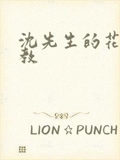 沈先生的花式管教