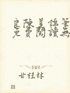 良陈美锦笔趣阁免费阅读无弹窗封面