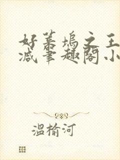 好莱坞之王未删减笔趣阁小说