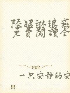 陆昭琳琅燕临君免费阅读全文最新章