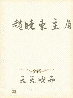 赵晓东主角小说