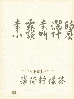 李霖李澜的官场小说叫什么