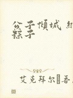 公子倾城 维和粽子封面