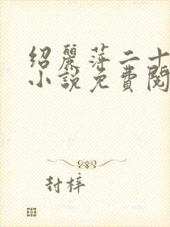 绍丽萍二十八部小说免费阅读最新章封面