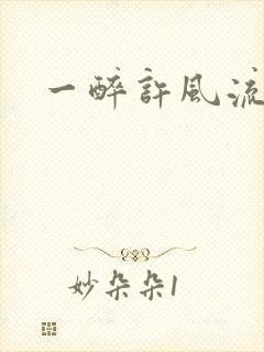 一醉许风流封面