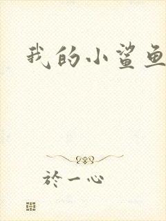 我的小鲨鱼封面