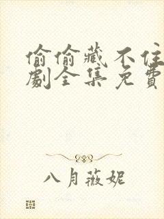 偷偷藏不住广播剧全集免费听