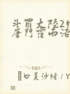 斗罗大陆2绝世唐门霍雨浩小说