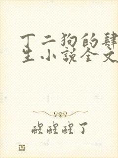 丁二狗的肆意人生小说全文阅读完整版下载封面